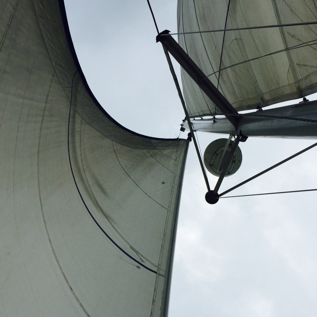 草履虫厉害妖ch