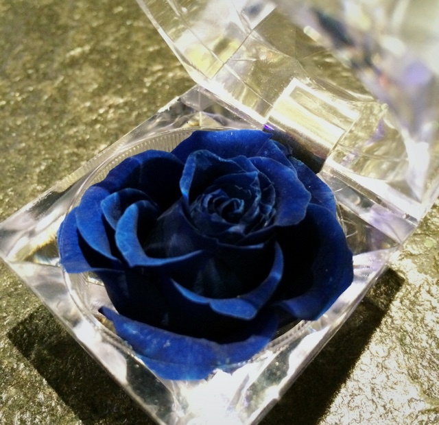 厨房、餐桌、阳台上的鲜花