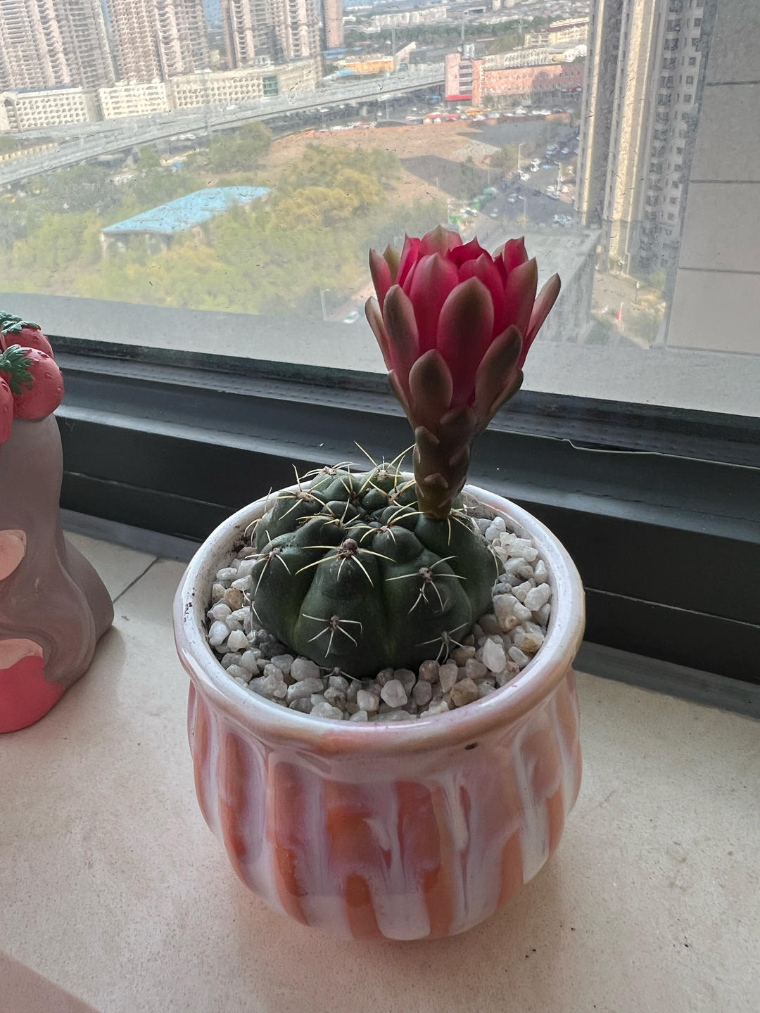 5月早餐马拉松