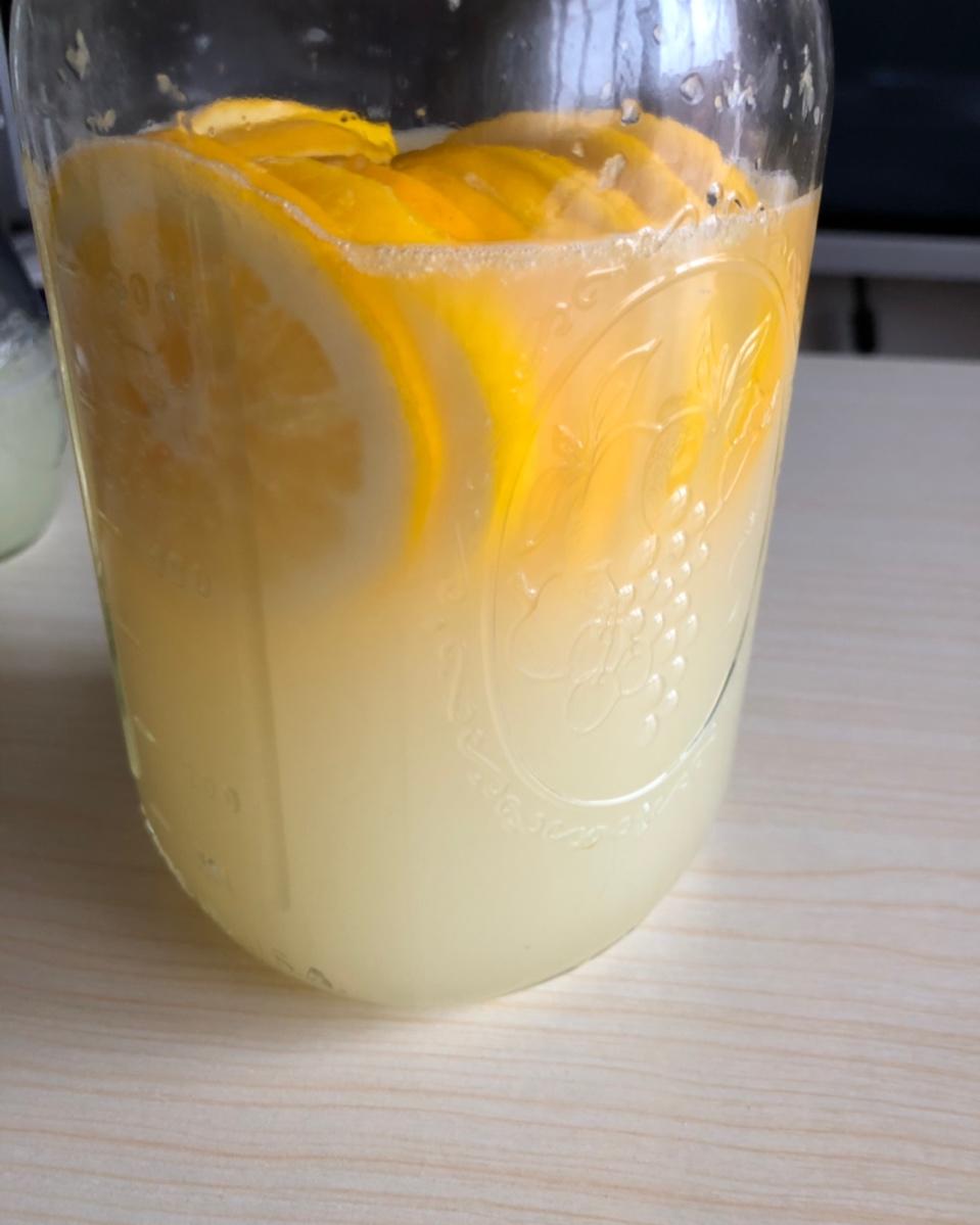 自制宠物-天然柠檬酵母