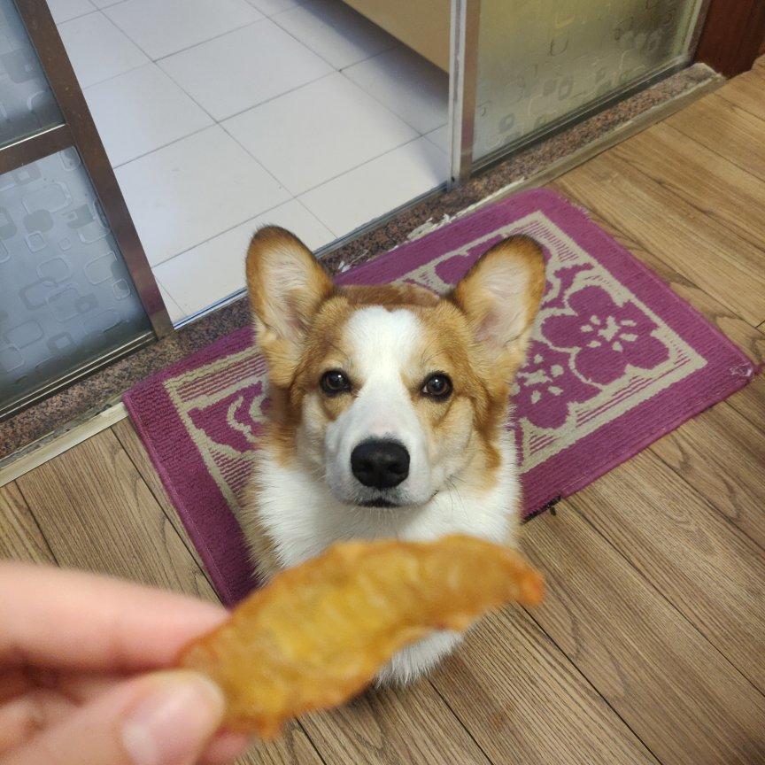 「狗零食／宠物零嘴」烤箱版风干鸡肉干