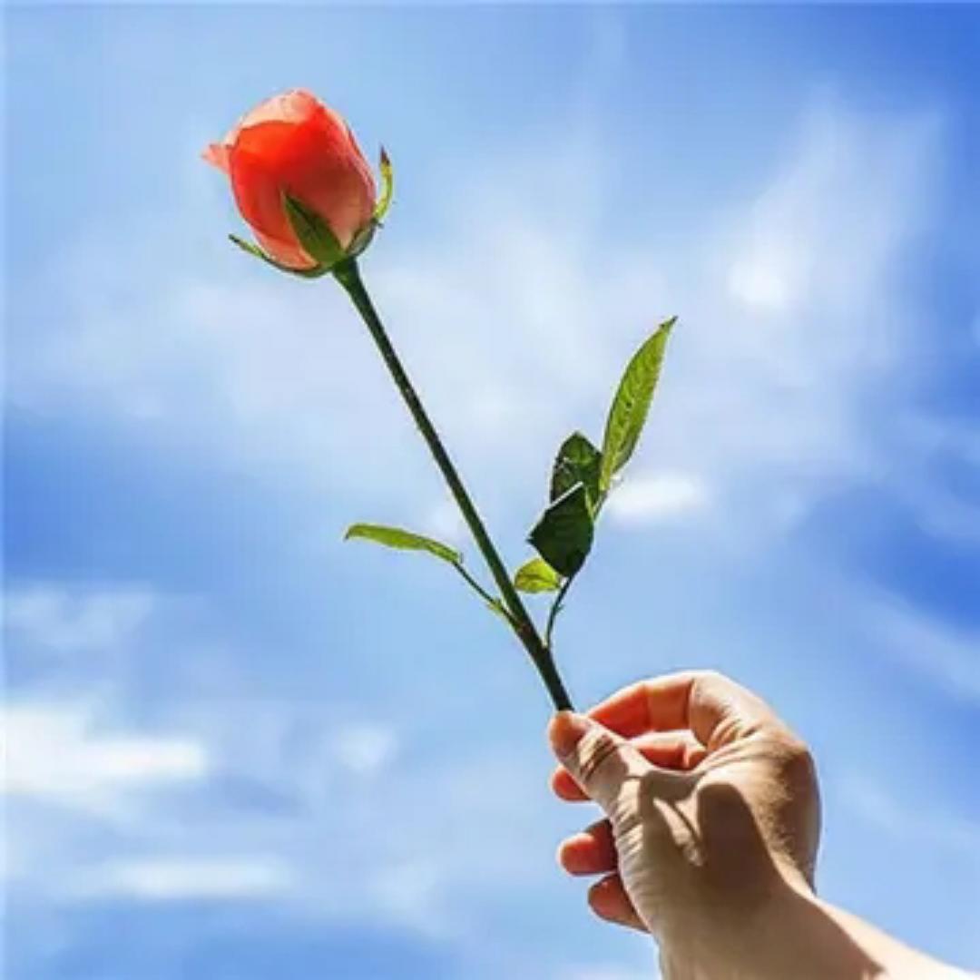幸福有多远659