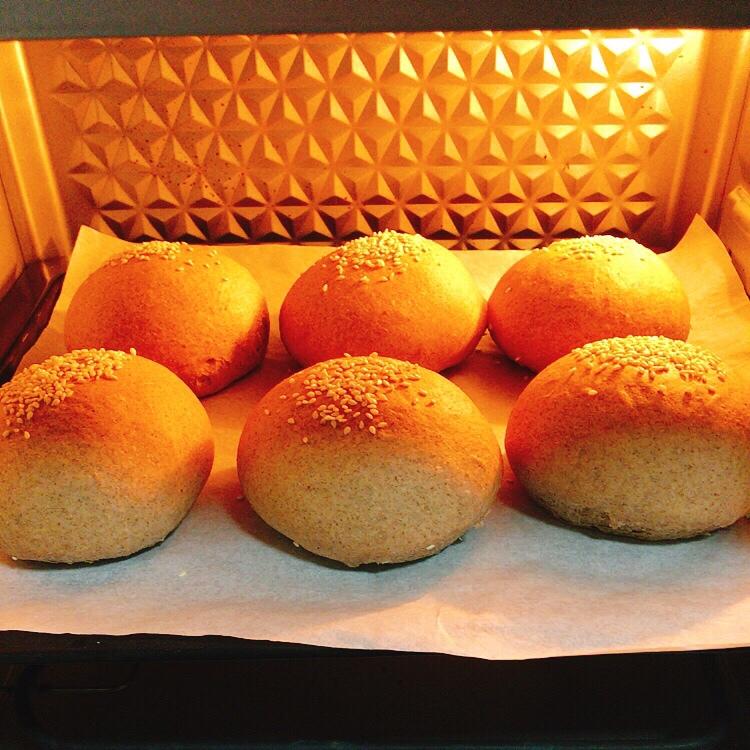 汉堡包🍔坯（汤种法）