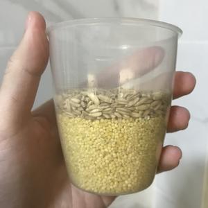 燕麦南瓜小米粥🎃的做法 步骤1