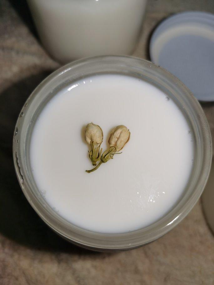 茉莉花奶冻