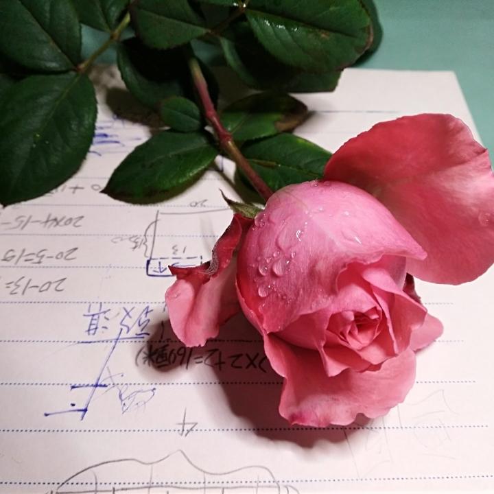 为淇妈咪