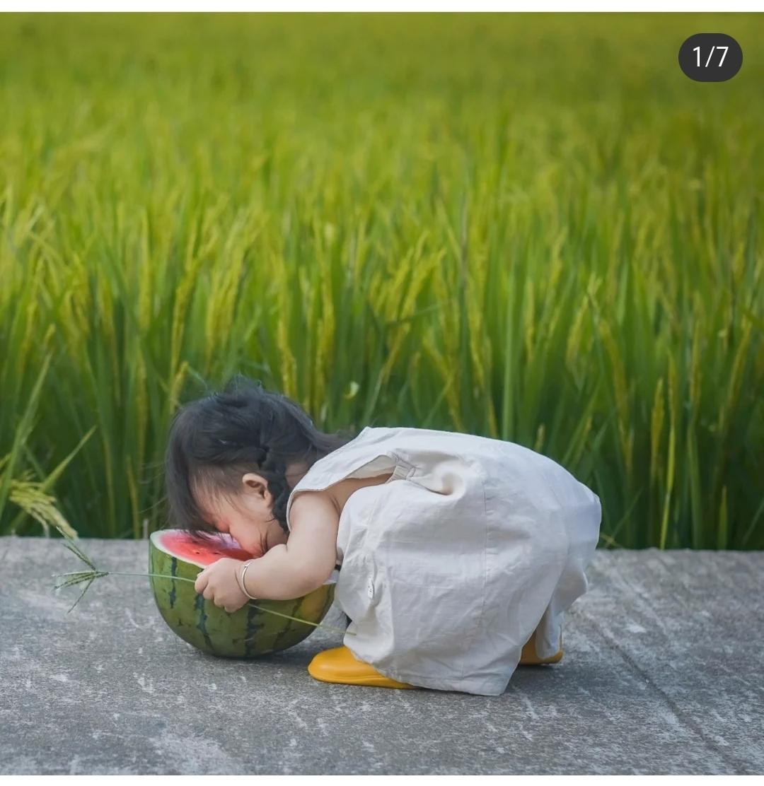 爱上老公的面包