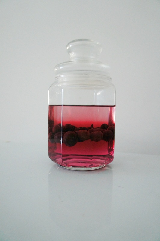 sunnyrosay做的蓝莓酒