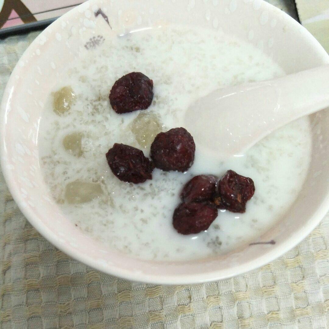 踏雪寻梅-蔓越莓牛奶炖雪燕
