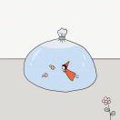 一只小卷卷的厨房