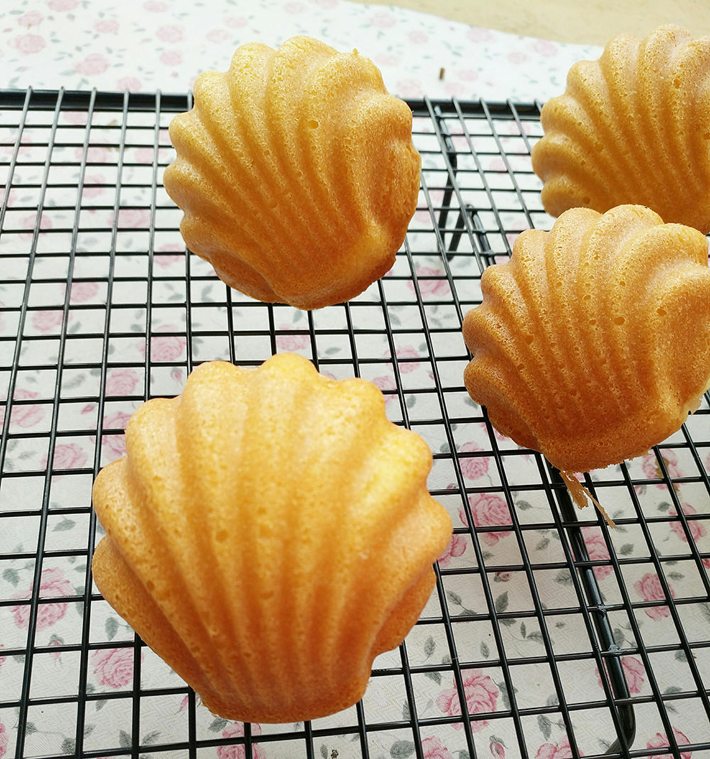 玛德琳-超级好吃又简单的小贝壳蛋糕的做法 步骤10