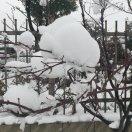 热得快炸了_c9yl
