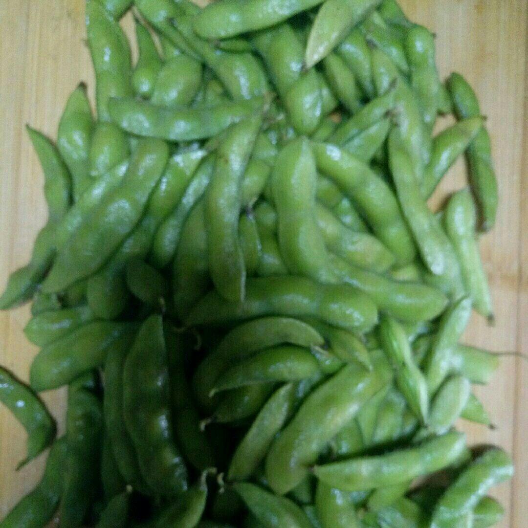 四季都能吃到的日式煮毛豆