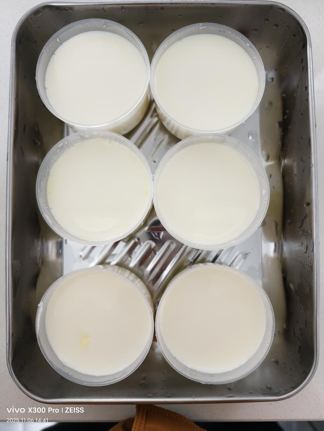 榴莲奶冻（无奶油版）