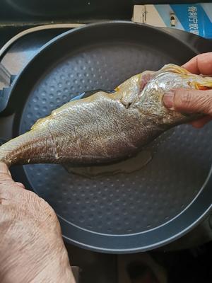 老郑家电饼铛私房菜--干烧大黄鱼的做法 步骤6