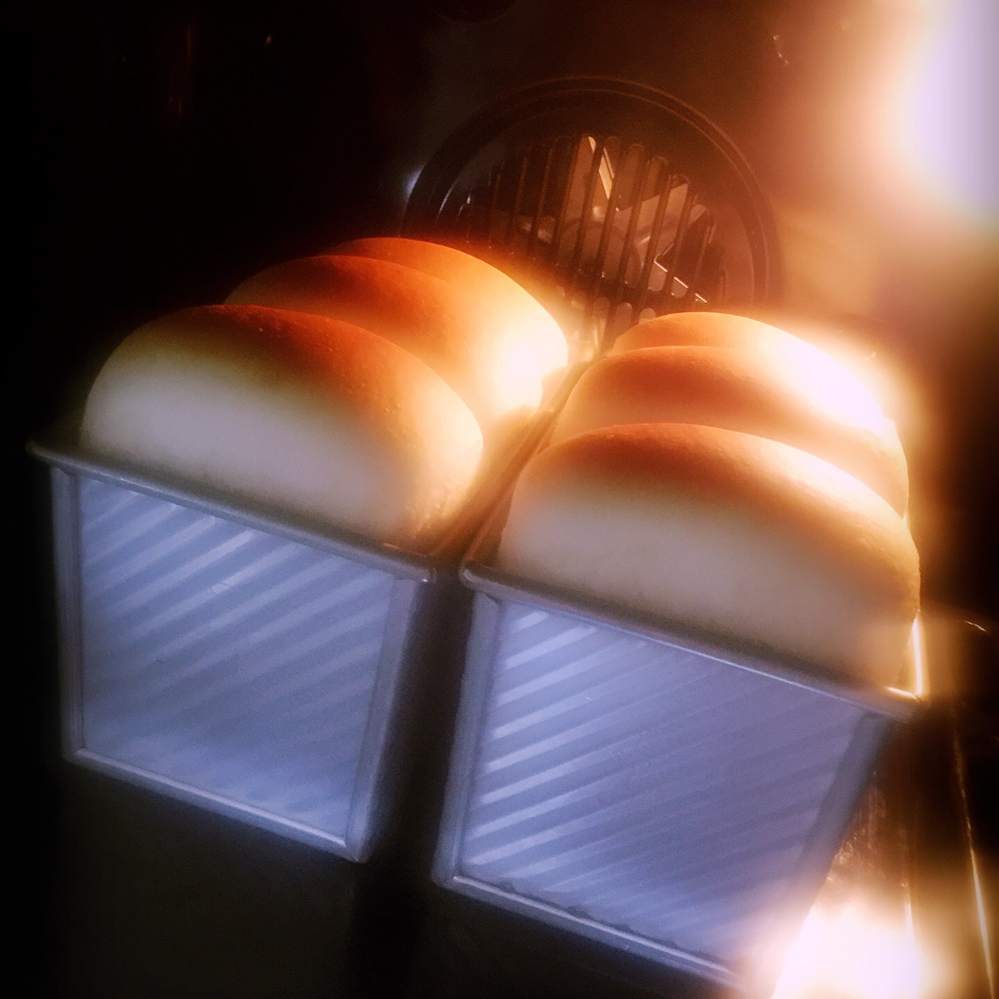 奶酪吐司（70%中种法）