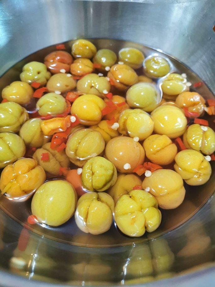 河源客家腌李子腌青李的全部作品