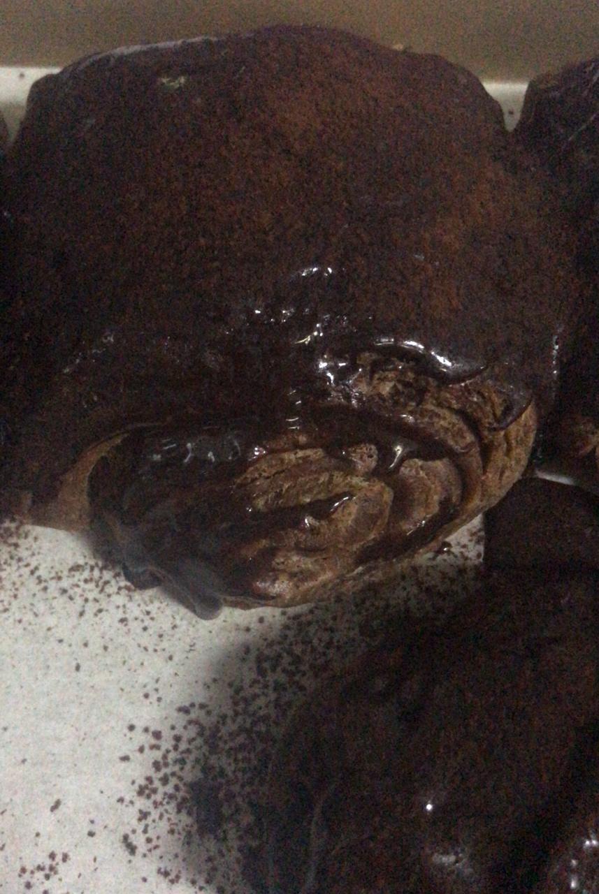 三里屯脏脏包-【附视频】