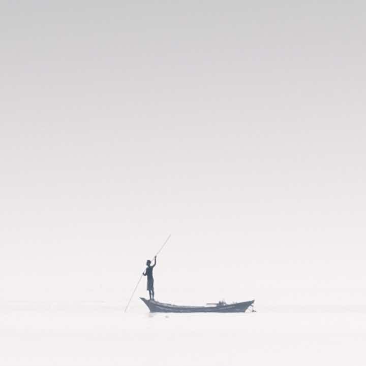七月的小茗