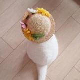 次次好好学做饭