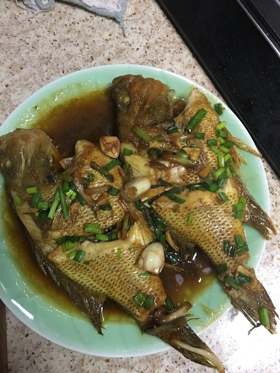 红烧太阳鱼