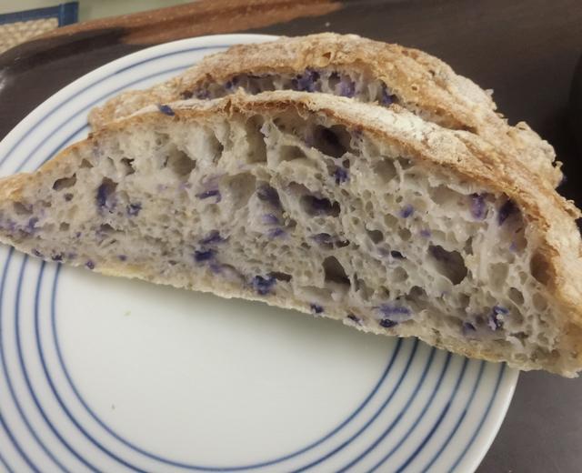 紫甘蓝苋菜籽硬欧