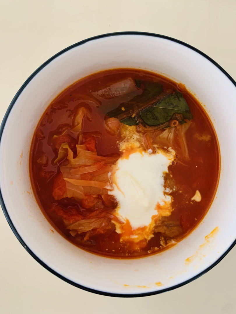 🇷🇺俄罗斯红菜汤／Borsch