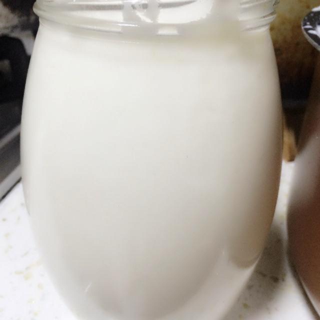 自制无糖纯酸奶的做法