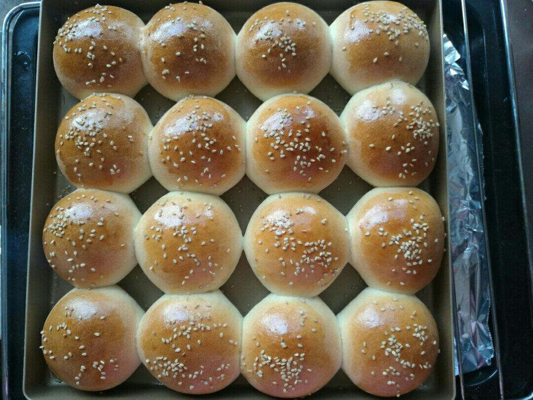 鲜奶油小餐包（一次发酵）