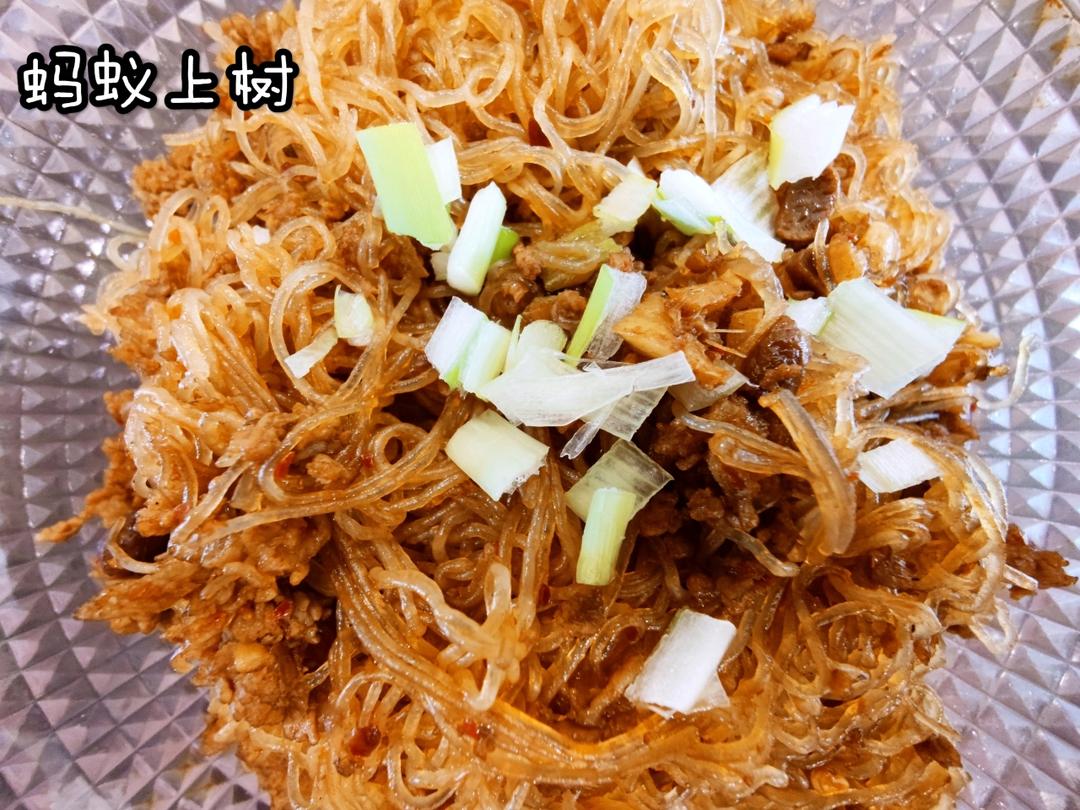 肉末粉丝煲（蚂蚁上树，干捞粉丝煲）