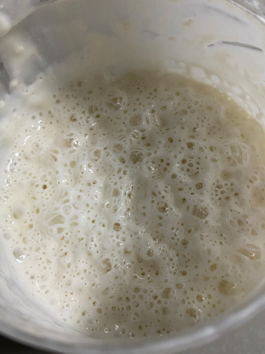 超快手的三明治伴侣| 冷藏法鲁邦种全麦口袋面包（Pita Bread）|消耗鲁邦种