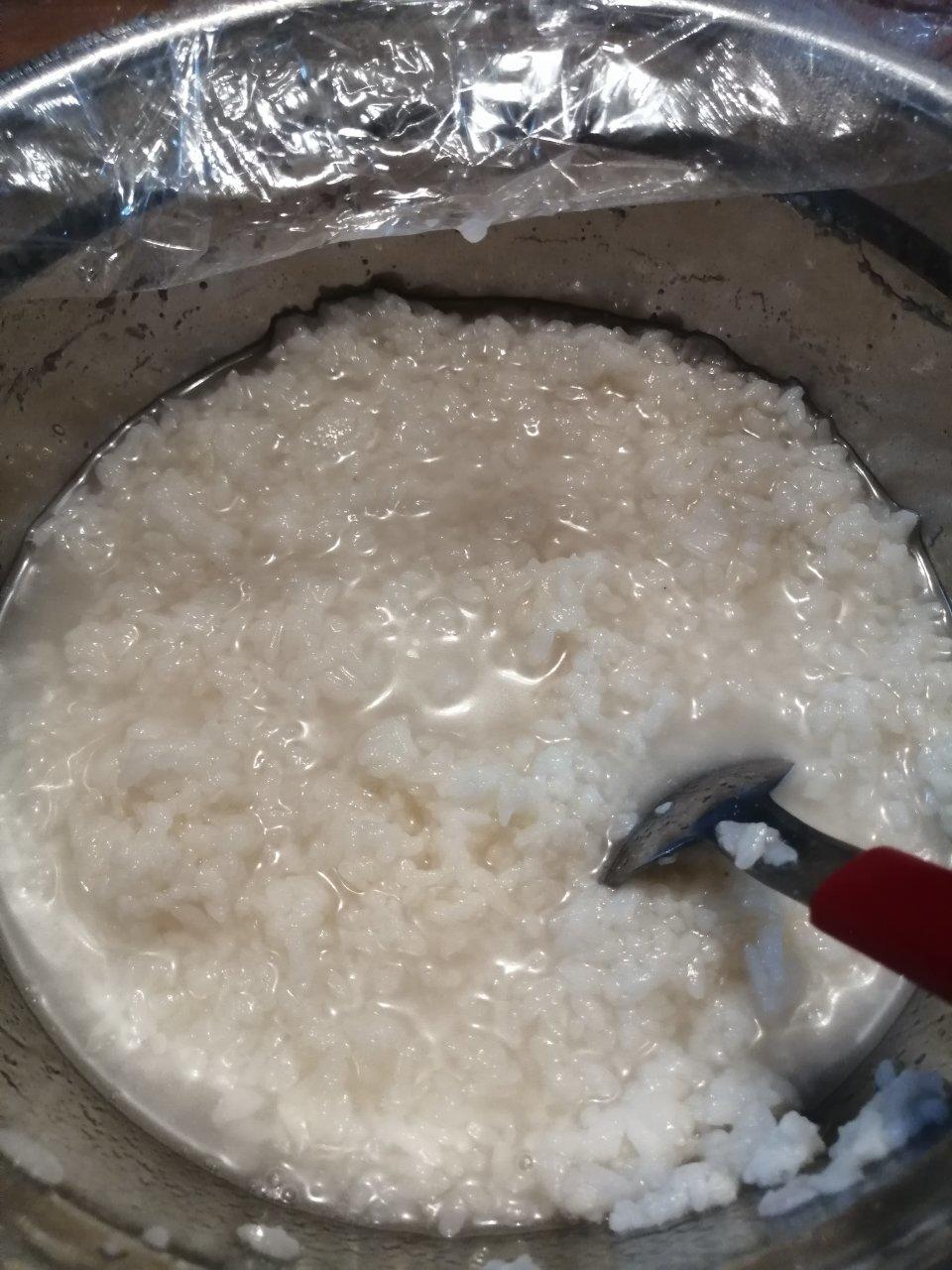 酒酿 (酒酿系列一）