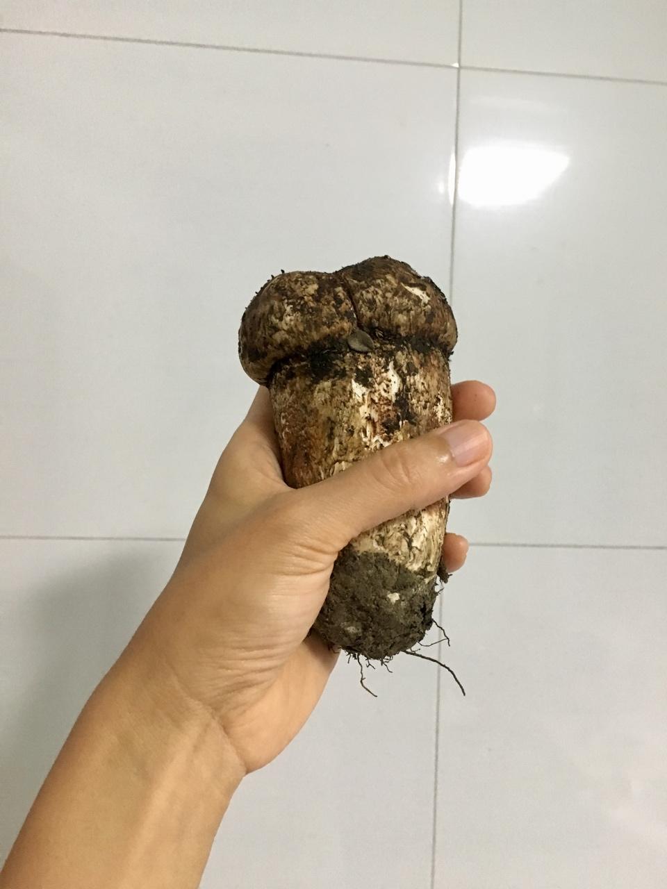 生命中的一切小美好