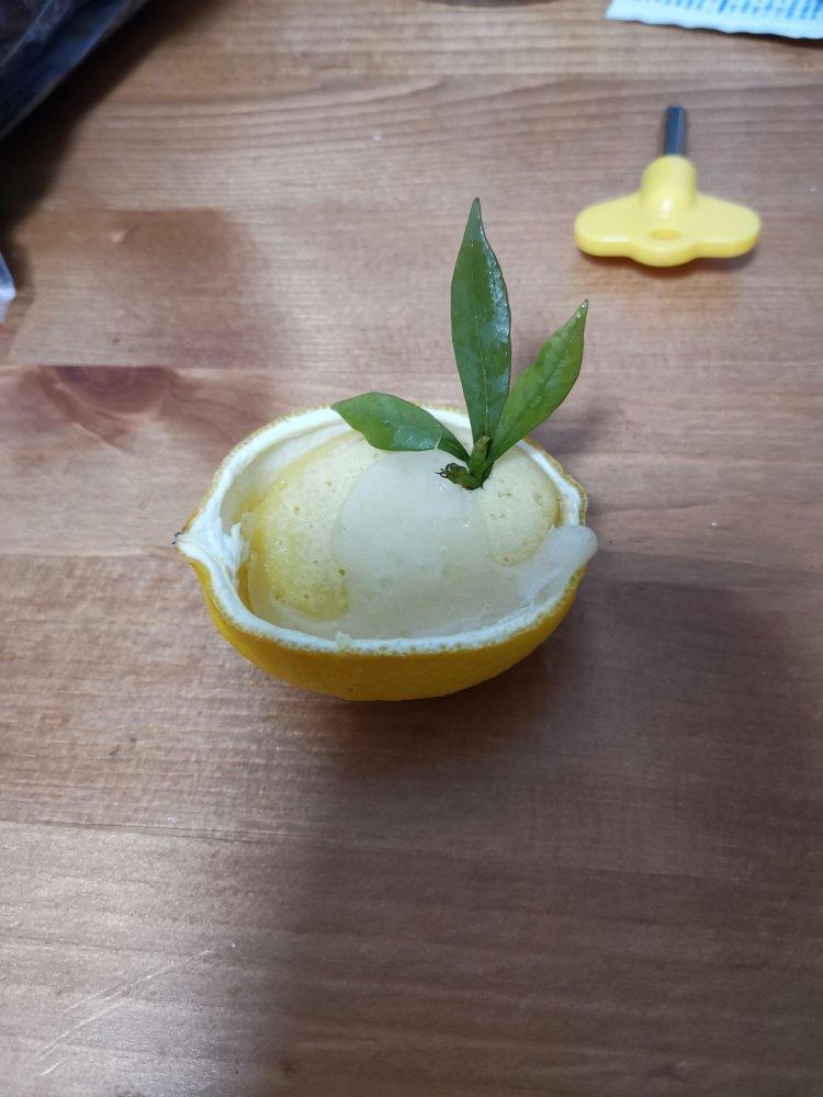 清新柠檬小蛋糕