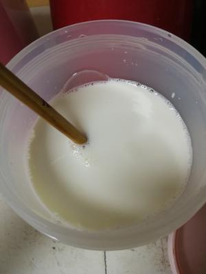 自制手工原味酸奶的做法 步骤4