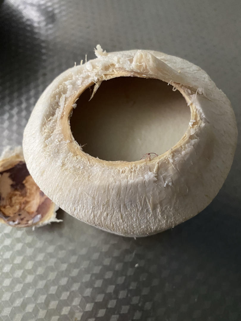 想要做出完美的嫩滑椰子冻🥥记住这个比例就对了