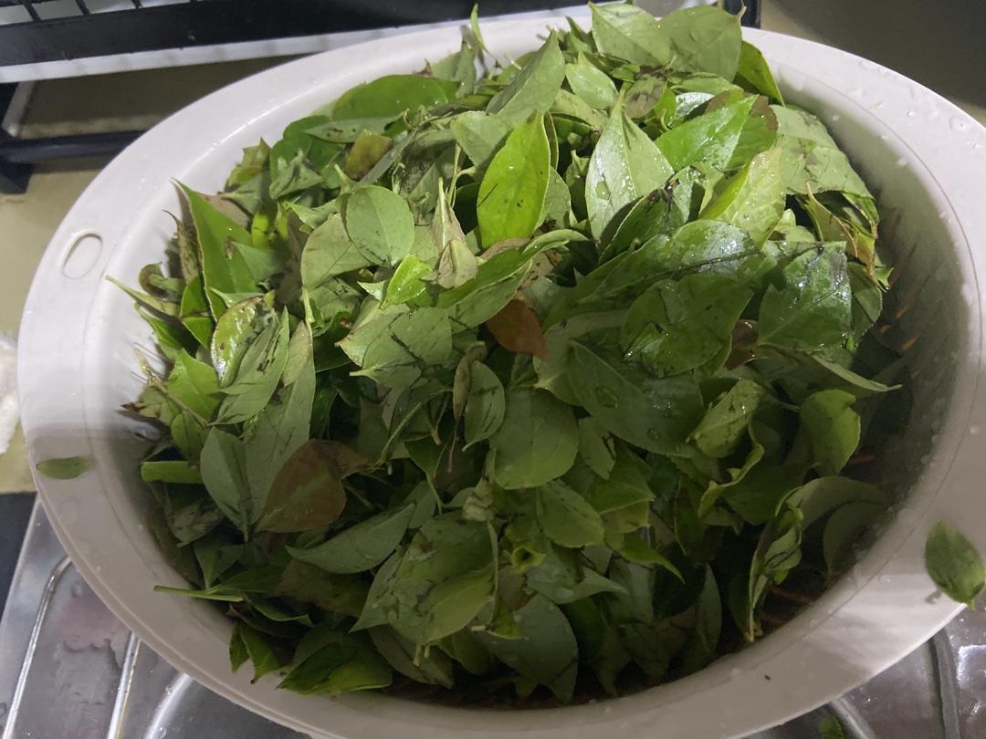 清香乌米饭