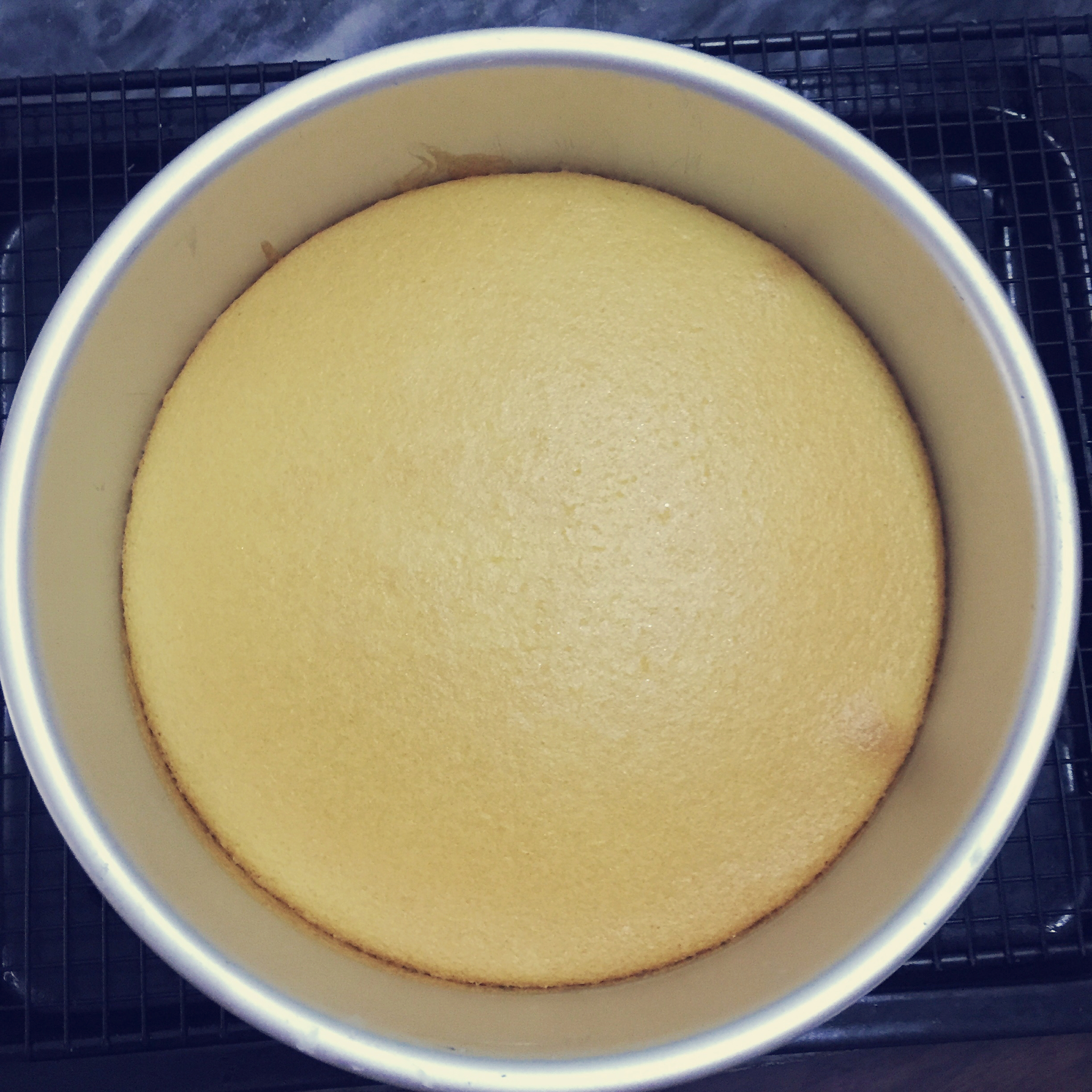 6寸原味戚风蛋糕