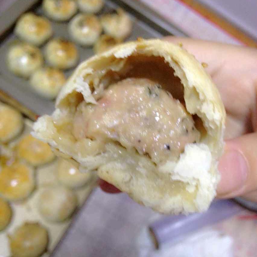 泳式鲜肉榨菜月饼