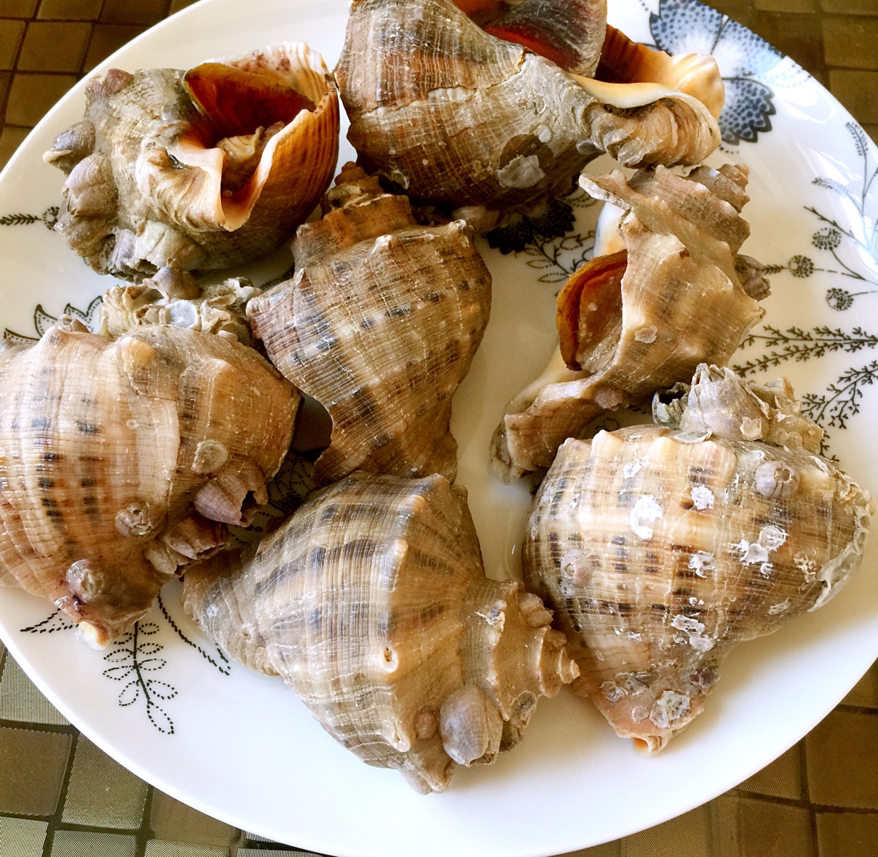水煮海螺