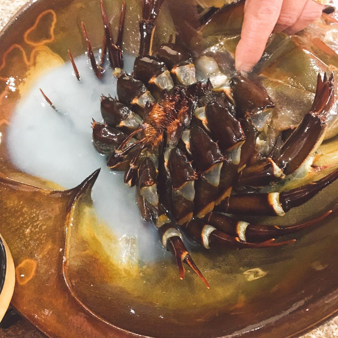 【鲎炒鸡蛋的做法步骤图,鲎炒鸡蛋怎么做好吃】lydia_milk_下厨房