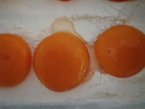 腌咸鸭蛋蛋黄速成法的避坑贴的做法 步骤4