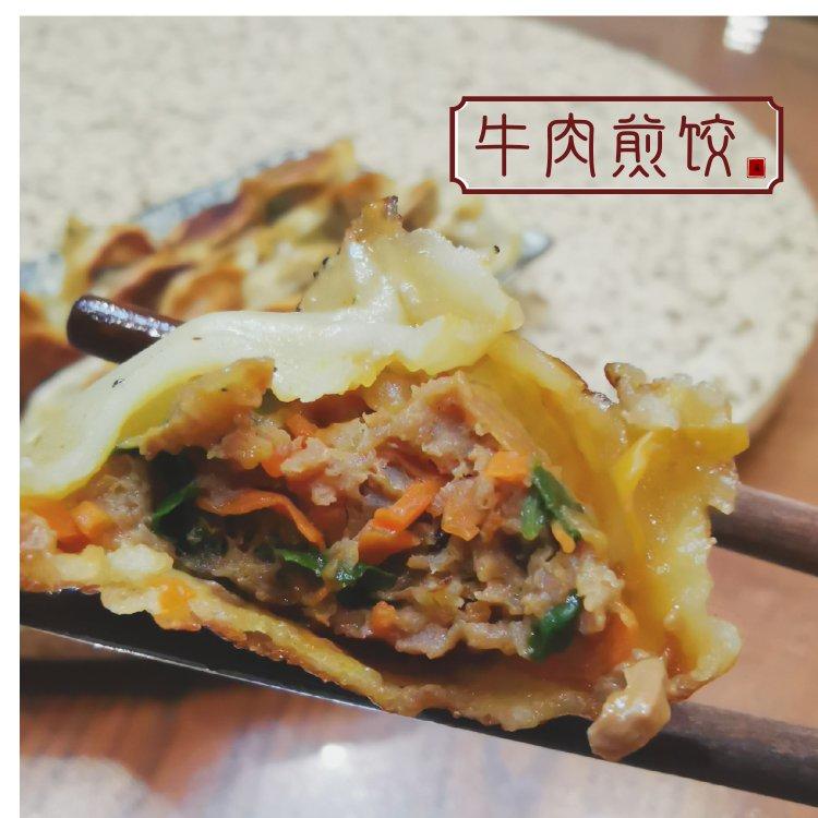 胡萝卜牛肉香菜饺子