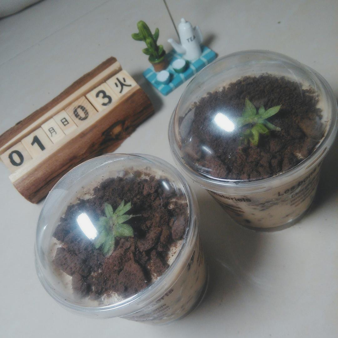《Tinrry下午茶》教你做抹茶红豆卷