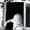 虫虫-94