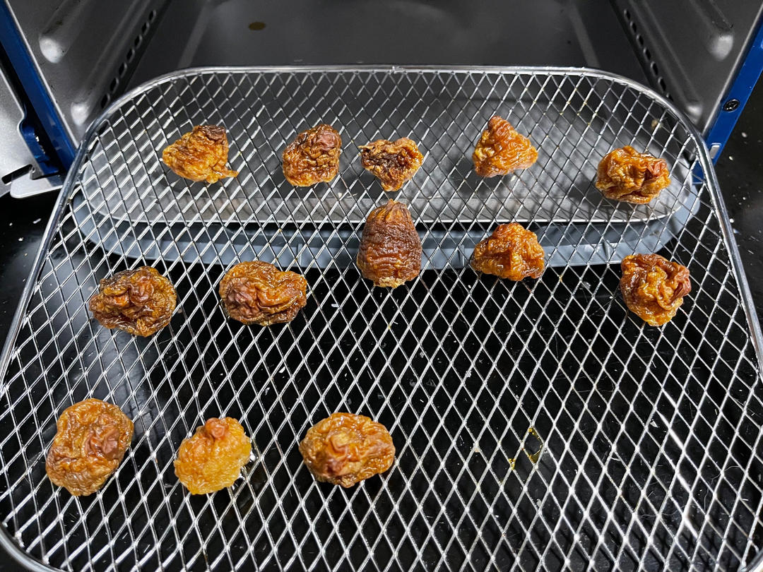 透视2010做的自制荔枝干