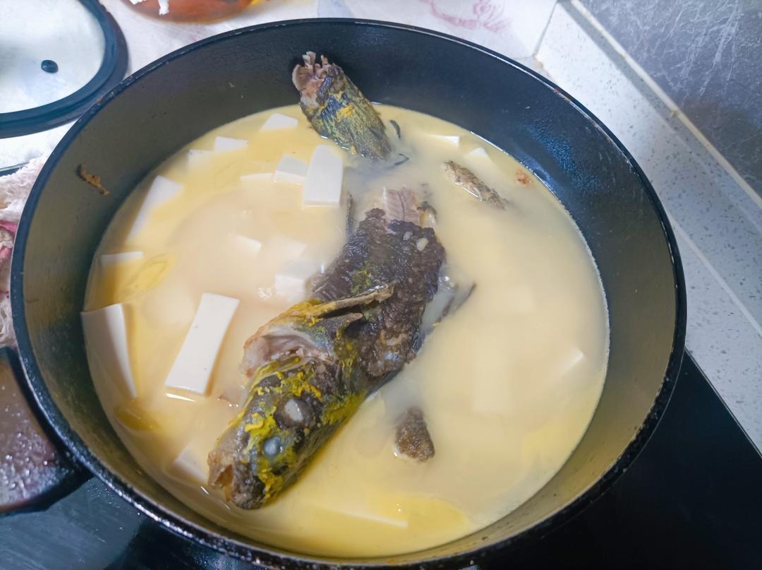 昂刺鱼豆腐汤（黄辣丁）