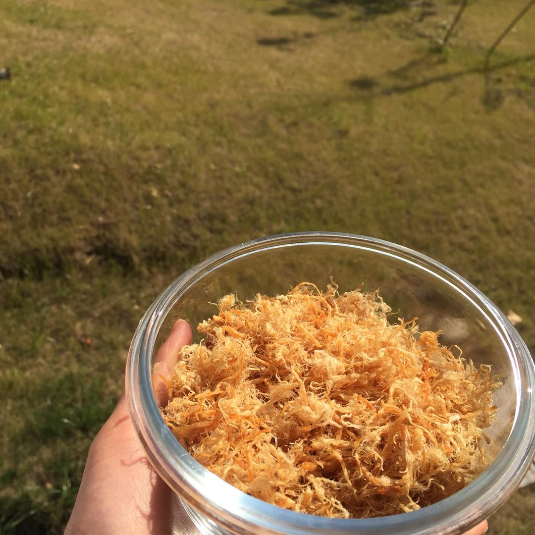 家庭自制肉松（非面包机版）