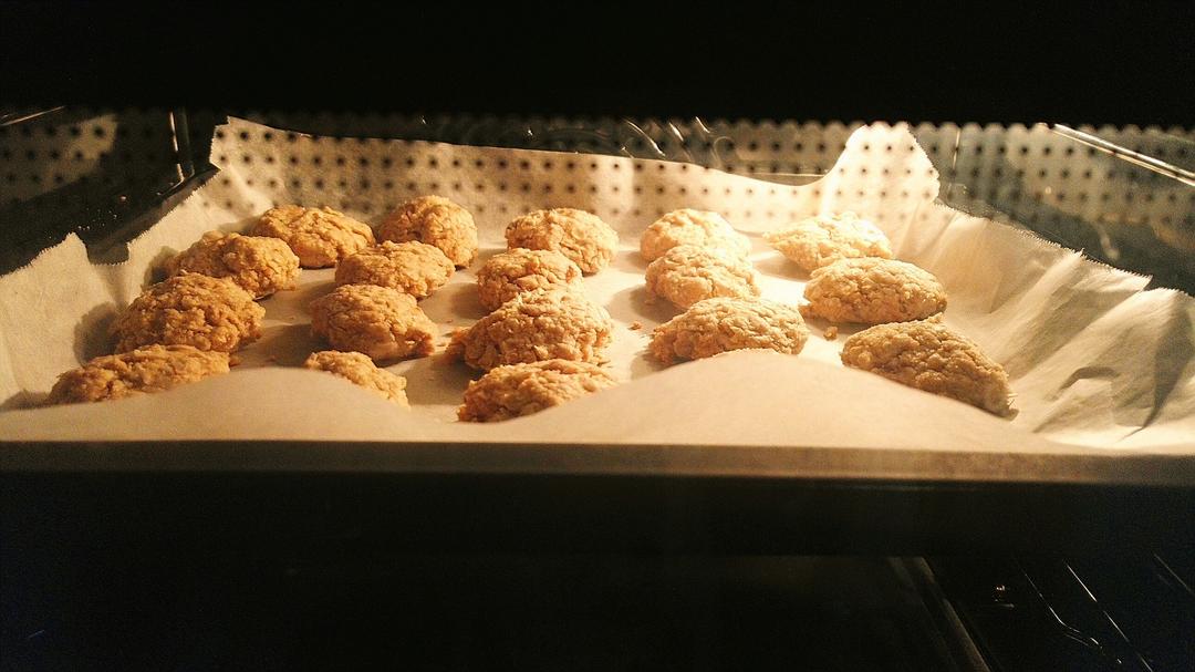 燕麦饼干