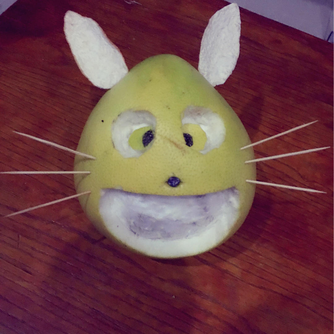 顽皮柚子龙猫